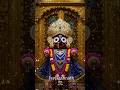 #jagannath#youtube#youtubeshorts#shortsvideo#jagannathbhajan#jayjagannathswami🙏🙏🙏⭕‼️⭕🙏🙏🙏