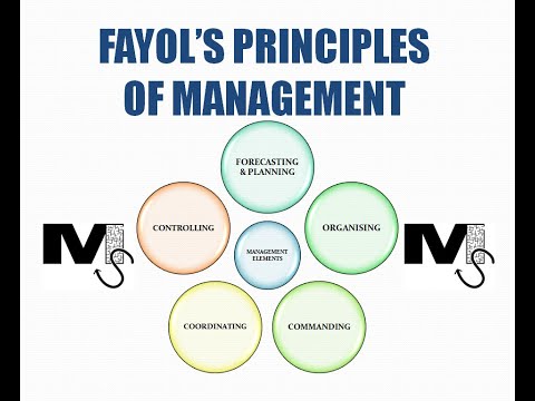 Video: Kuri įmonė laikosi Fayol principų?