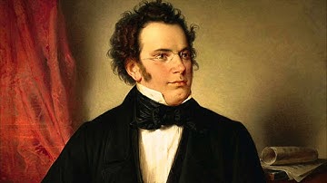 Schubert ‐ String Quartet in D Major, D94 ‐ I Allegro
