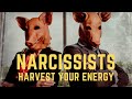 Narcissists Harvest Your Energy