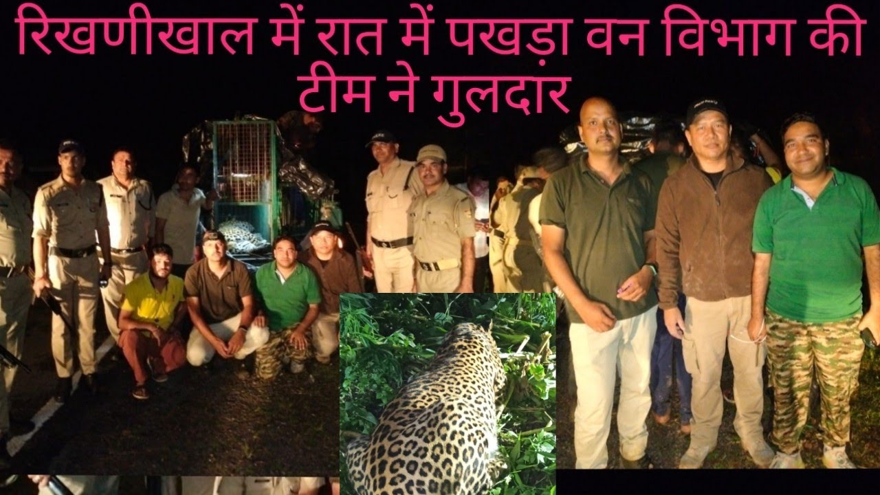 rikhnikhal mei der raat ko pakda uttrakhand forest ki team ne guldaar | 