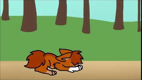 Squirrelpaw map Part 12