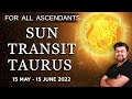 For All Ascendants | Sun Transit in Taurus |  15th May 2022 | Analysis by Punneit