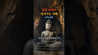 침묵 속에서 피어나는 지혜 #깨달음노트 #부처님말씀 #법구경 #침묵의지혜 #마음치유 #삶의지혜 #마음챙김 #명상시간 #불교명언 #깨달음
