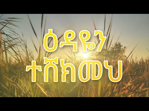 ቪዲዮ: ተወዳጅ ሞኝ. ቃል ሊገድል በሚችልበት ጊዜ