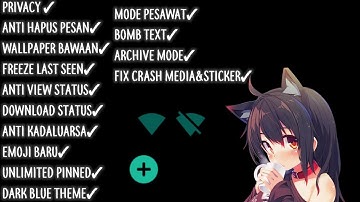 WhatsApp Beta Version 2.21.3.3 WITH PRIVACY & BOMB TEXT!!!!