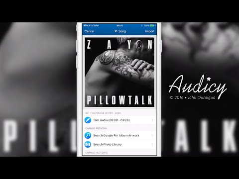 Audicy - iOS Audio and Video Importer without iTunes or Mac/PC