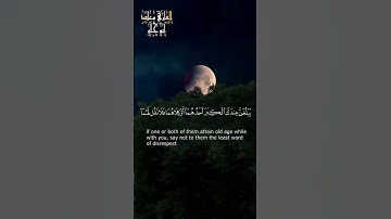 تلاوة تفوق الوصف من سورة الإسراء - القارئ معاذ ابو حلو #اكسبلور