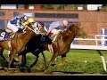 1987 Breeders' Cup Classic - Ferdinand & Alysheba + Post Race & Interviews