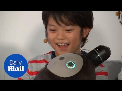 ペンギン　ロボット LOVOTウェア』のアニマルラインに「ペンギン」がついに仲間入り