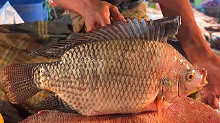 Popular Big Tilapia Fish Cutting Skills In Fish Market | Fish Cutting Skills