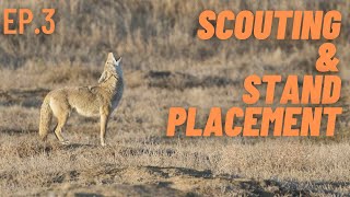 How To Hunt Coyotes For Beginners | Ep.3 | EScouting & Stand Placement WITH VISUALS & DIAGRAMS