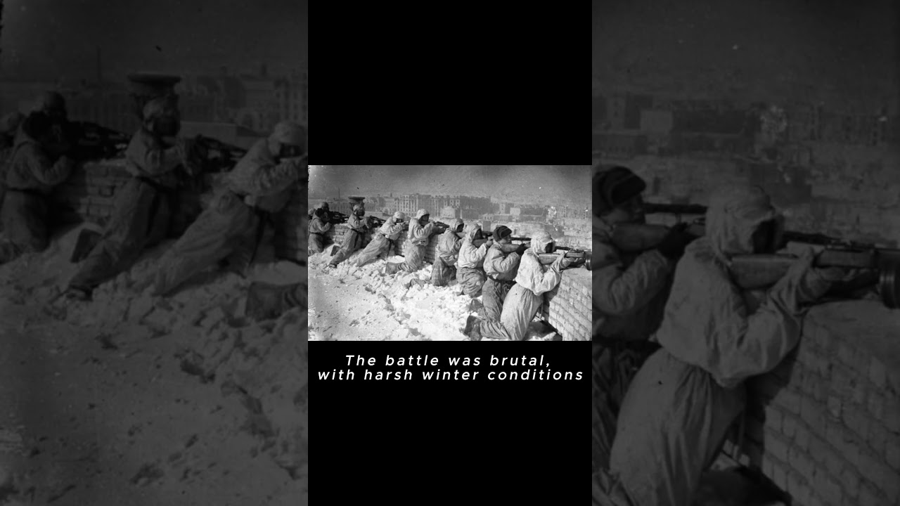 Operation Barbarossa 1942  Historical World War 2 Story