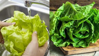 How to Keep Lettuce Fresh & Store it for the Week