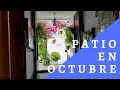 Visita el Patio en Octubre