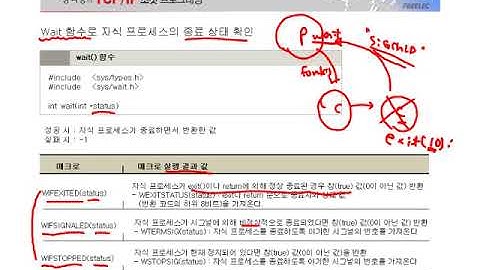 [열혈강의] TCP/IP 소켓 프로그래밍 - #20 7장 시그널과 좀비 프로세스