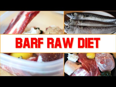 Video: BARF-dieet Voor Honden - Botten In Raw Food-diëten Voor Honden