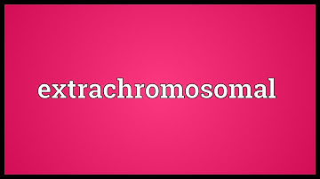 Extrachromosomal Meaning