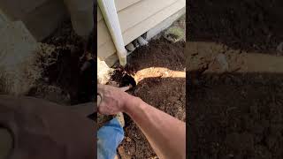 Diy How To Avoid Damage Digging Fence Post Holes  Next To A House 🏠 #Fence #Utilities #Digging
