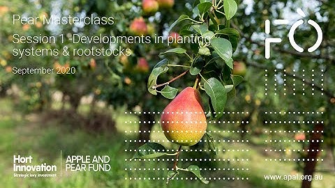 Pear Masterclass Session 1 - Development in European planting systems & rootstocks