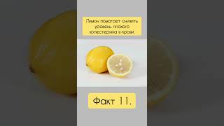 Факт 11. Лимон. #факт #польза   #здоровье #лимон #short #shorts