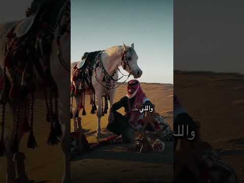 اللي يرخص قدرناكيف نغليه وللي خذلنامانثمن وقوفة شيلات اكسبلور دارك شعر قصيد اغاني شعر وقصائد