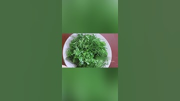 CÁCH CHỮA ĐAU LƯNG BẰNG LÁ LỐT VỪA RẺ VỪA HIỆU QUẢ NGAY LẦN ĐẦU ÁP DỤNG