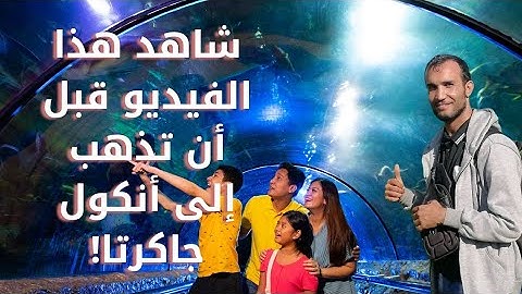 🐠 رحلة إلى الأعماق: جمال الحياة البحرية في أنكول جاكرتا | فيديو مذهل! 🌴