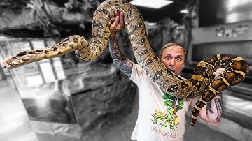 ALL MY BOAS IN ONE VIDEO!! | BRIAN BARCZYK