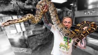 ALL MY BOAS IN ONE VIDEO!! | BRIAN BARCZYK