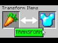 Minecraft, But You Can Transform Any Item...