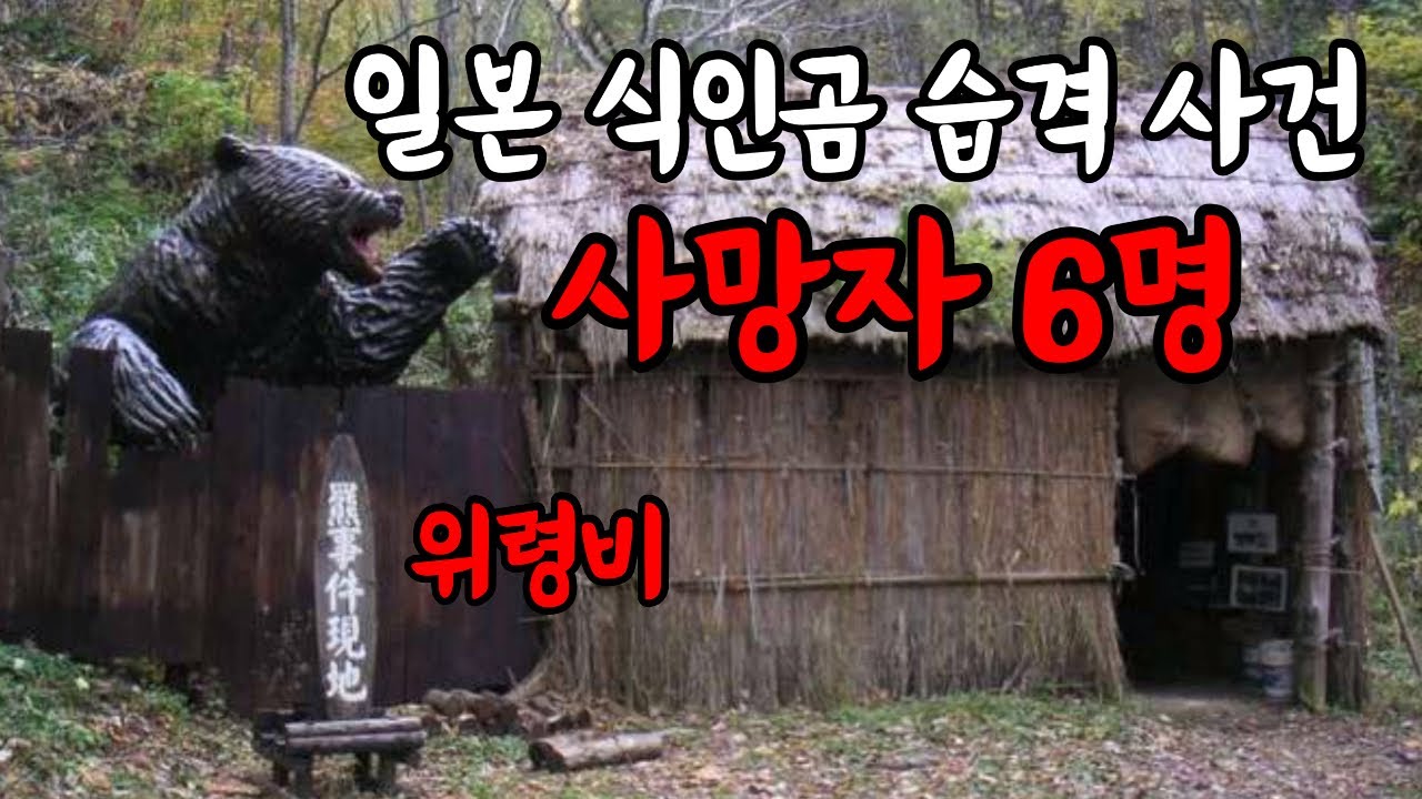 일본 최악의 식인곰 산케베츠 불곰 습격 사건 이야기 - YouTube