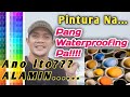 Waterproofing o Pintura • Pintura na Waterproofing • Sulit at Matipid • Judd Rios