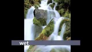04- Essential Linguistics.flv