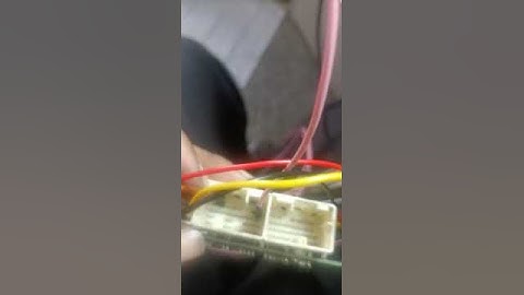 ecco B5 ECM conction on table