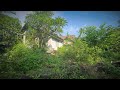 Thought to be ruins, turns out to be a green paradise The transformation that makes everyone amazed