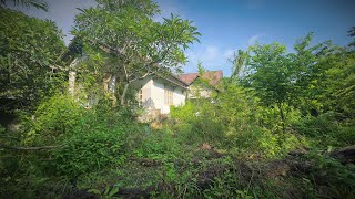 видео: То, что считалось руинами, превращается в зелёный рай – «Преображение», которое всех поражает! картинка: То, что считалось руинами, превращается в зелёный рай – «Преображение», которое всех поражает!