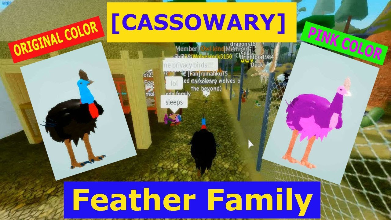 Roblox Feather Family Griffin - feather family roblox phoenix