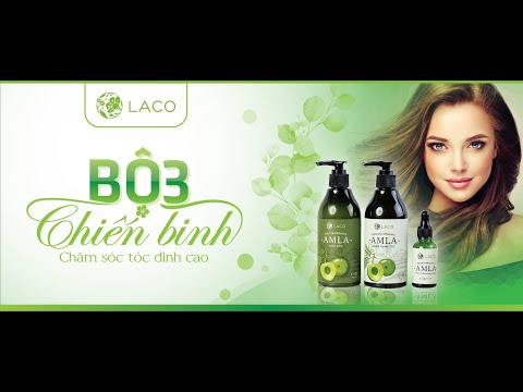 Hướng dẫn thiết kế banner dầu gội đầu trên illustrator, Giáo trình illustrator