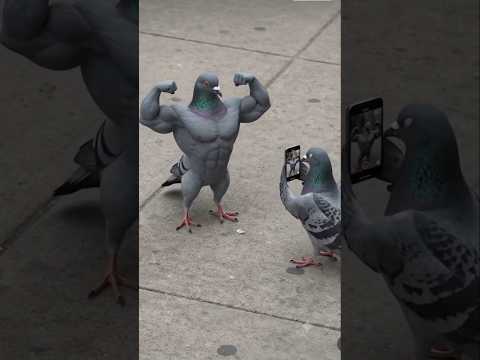 How Did This Pigeon Get So Strong?! 😂🐦💪 #shorts #funny #foryou