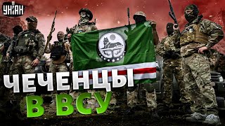 Чеченцы в рядах ВСУ разошлись не на шутку! Тыл россиян горит | Закаев