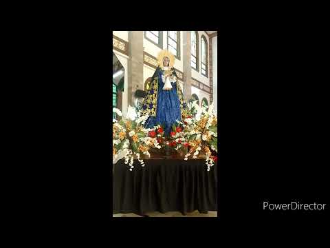 Video: Paglalarawan at larawan ng Roman Catholic Church of St. Teresa (Sventos Tereses baznycia) - Lithuania: Vilnius