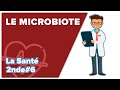 Microbiote et sant  svt  sante 2nde 6  lyce  mathrix