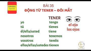 HỌC TIẾNG TÂY BAN NHA DỄ DÀNG MỖI NGÀY - Bài 35: ĐỘNG TỪ TENER - ĐÔI MẮT