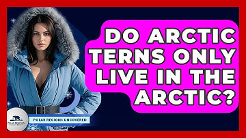 Do Arctic Terns Only Live In The Arctic? - Polar Regions Uncovered