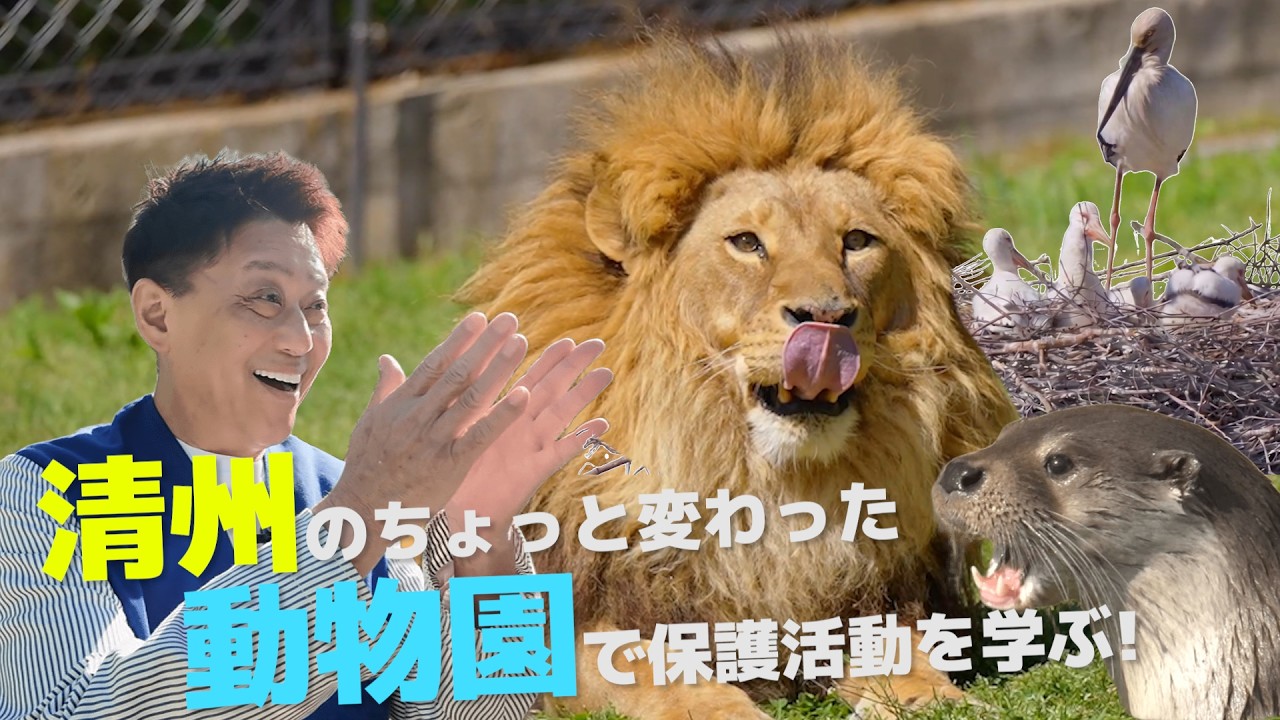 【韓国ロケ】保護された動物たちの居場所🐾坂上パパが感動した忠北・清州の特別な動物園 Cツアーバス 清州旅行 第3弾 구조된 동물들의 보금자리🐾사카가미상이 감동한 충북 청주의 특별한 동물원