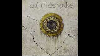 Whitesnake Still Of The Night Guitar Play Along