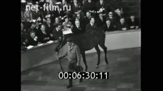 Аукцион в Москве, 1966 год