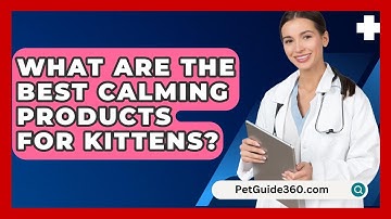 What Are The Best Calming Products For Kittens? - PetGuide360.com