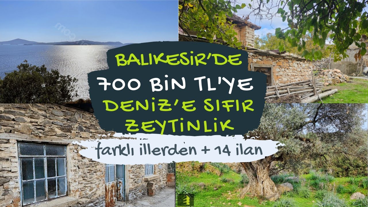 BALIKES R DE 700 B N TL YE DEN Z E SIFIR ZEYT NL K UYGUN F YATLI balikes-r-de-700-b-n-tl-ye-den-z-e-sifir-zeyt-nl-k-uygun-f-yatli